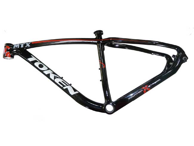 MTB 29er CARBON FRAME 17"